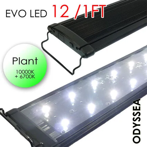 ODYSSEA EVO Led 12" 18W (PLANT)